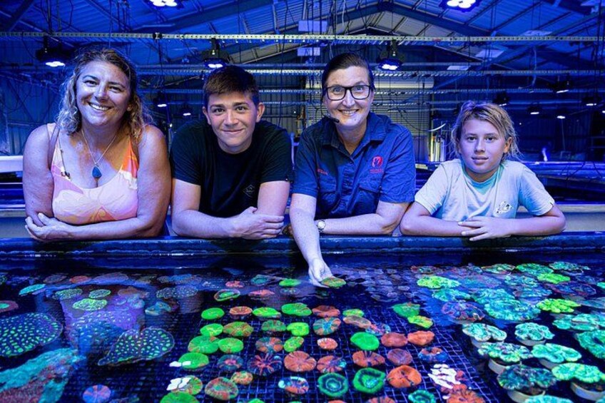 One hour Guided Tour of Australians Largest Coral farm 5