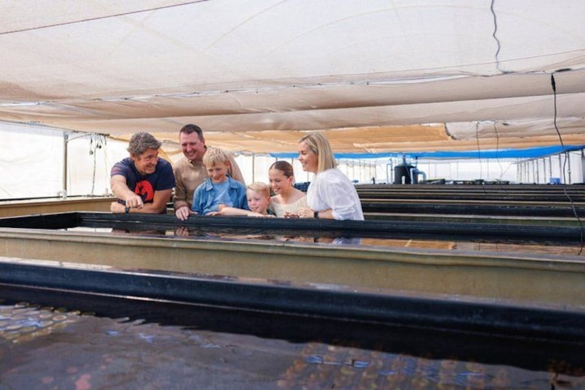 Un grupo de personas en la cubierta de un barco, con un toldo grande sobre ellas. 2