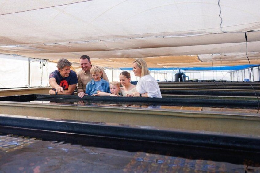 A group of people on a boat with a covered deck, looking at something on the floor. 2