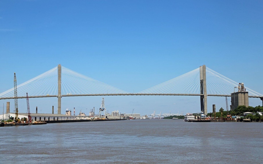 Picture 6 for Activity Savannah: Riverboat Narrated Harbor Sightseeing Cruise 2