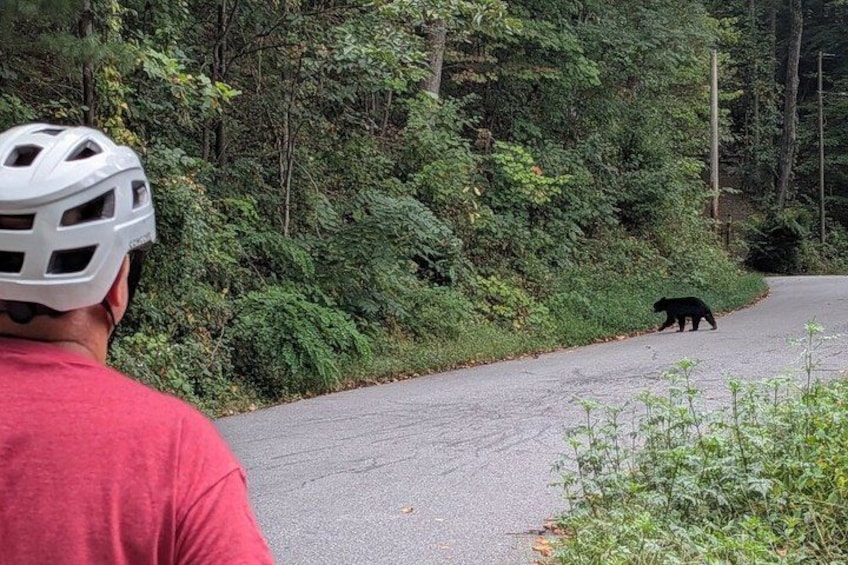 A person in a red shirt and white helmet on a road with a bear crossing. 2
