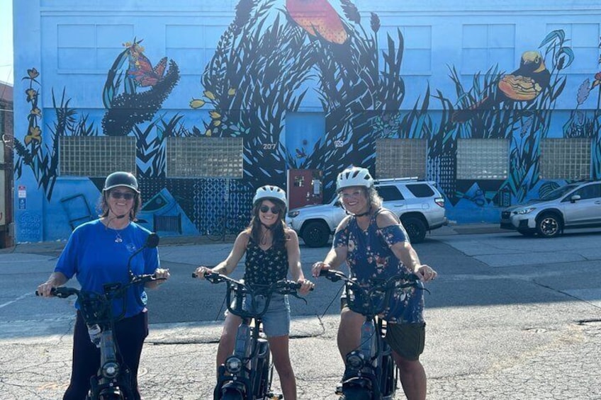 Explore Asheville on E Bike 2