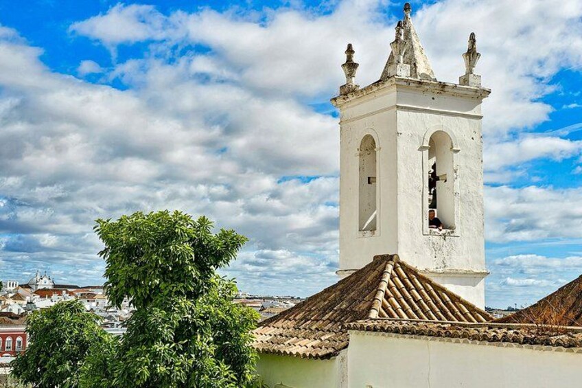 Tavira Roots : Salt Pans, Octopus, Tuna Heritage Wine & Tapas 2