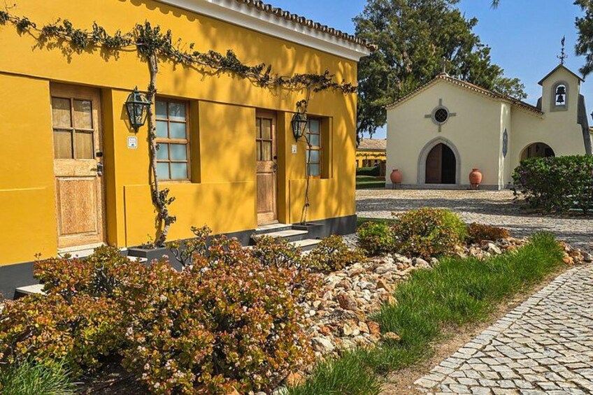 Tavira Roots : Salt Pans, Octopus, Tuna Heritage Wine & Tapas 5