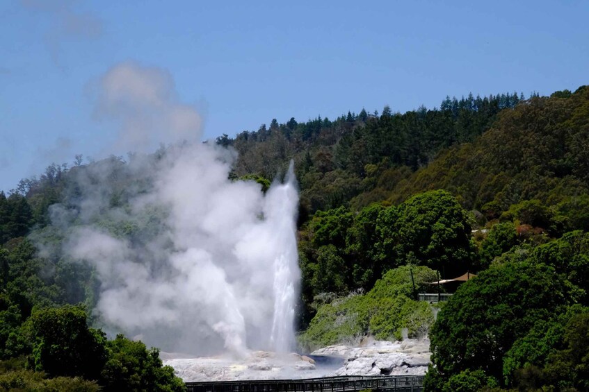 Picture 2 for Activity Rotorua: Te Puia Maori Village and Rejuvenation Tour 2