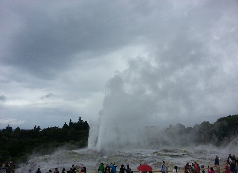 Picture 3 for Activity Rotorua: Te Puia Maori Village and Rejuvenation Tour 3
