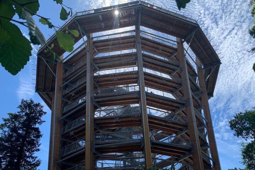 Une grande structure en bois à plusieurs niveaux, dotée d’une ossature complexe, et entourée d’arbres. 2