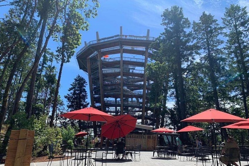 Un bâtiment circulaire entouré d’arbres, avec des espaces de repos en plein air agrémentés de parasols rouges. 1