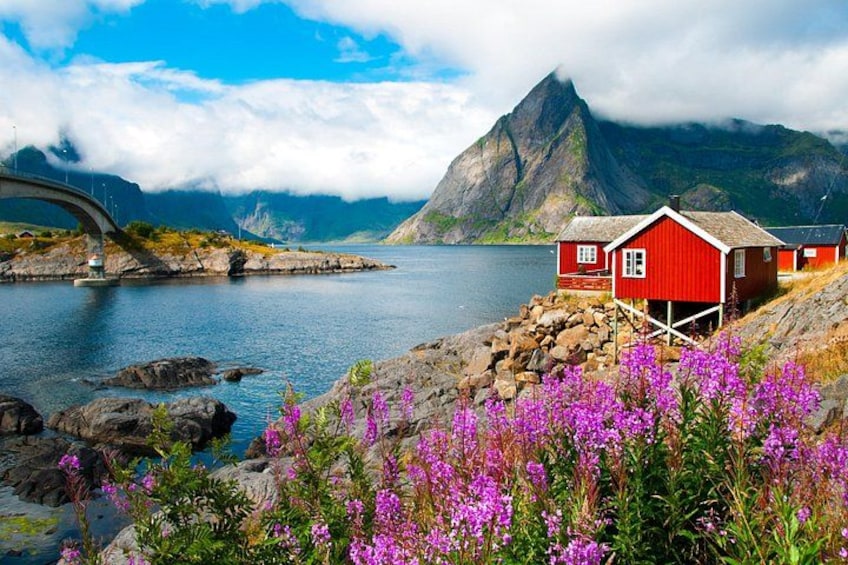 Hamnøy 3