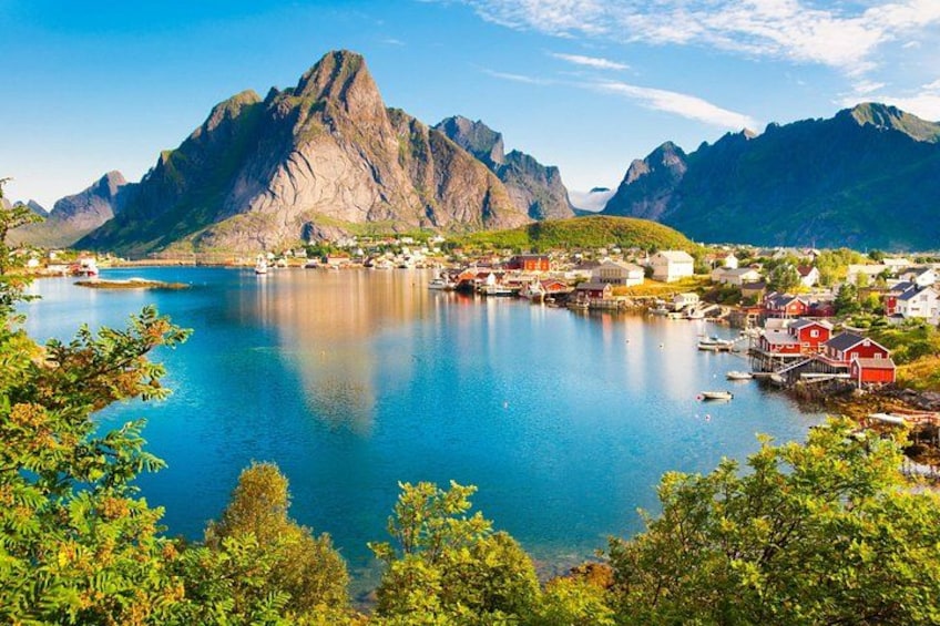 Reine 1