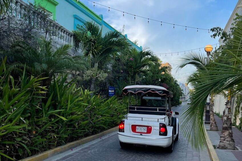 Mazatlan Private City Tour by Pulmonia with Cruise Port Pickup 3