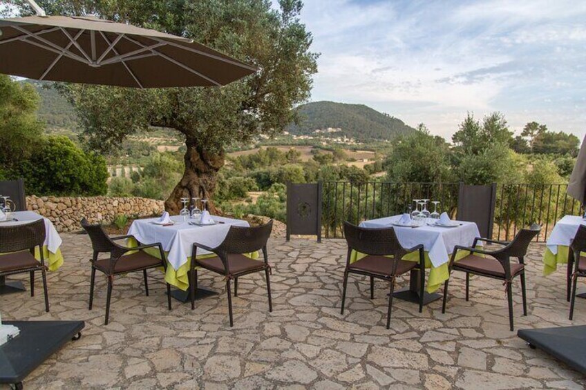 An outdoor dining area with tables and chairs, set against a scenic backdrop of hills and trees. 5
