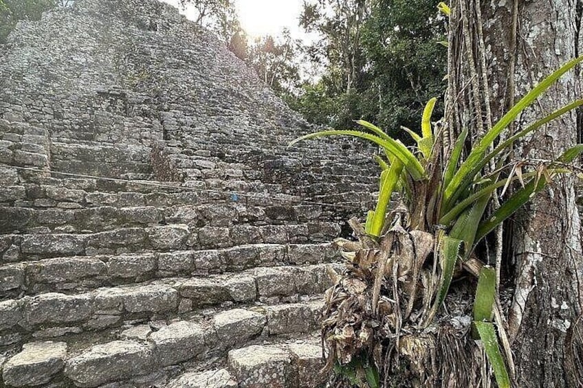 Private Coba Mayan Ruins Tour from Cancun 4