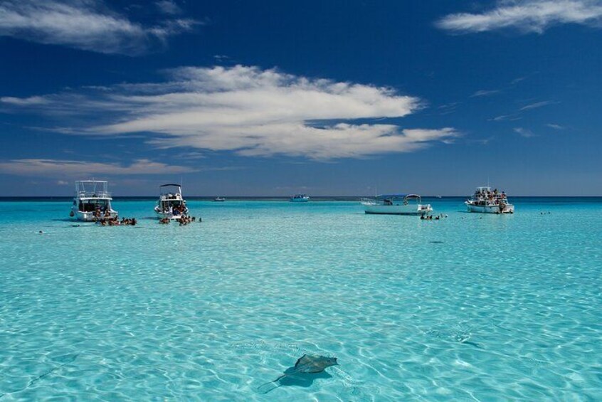 Grand Cayman Stingray City, Barrier Reef & Coral Gardens Snorkel 1
