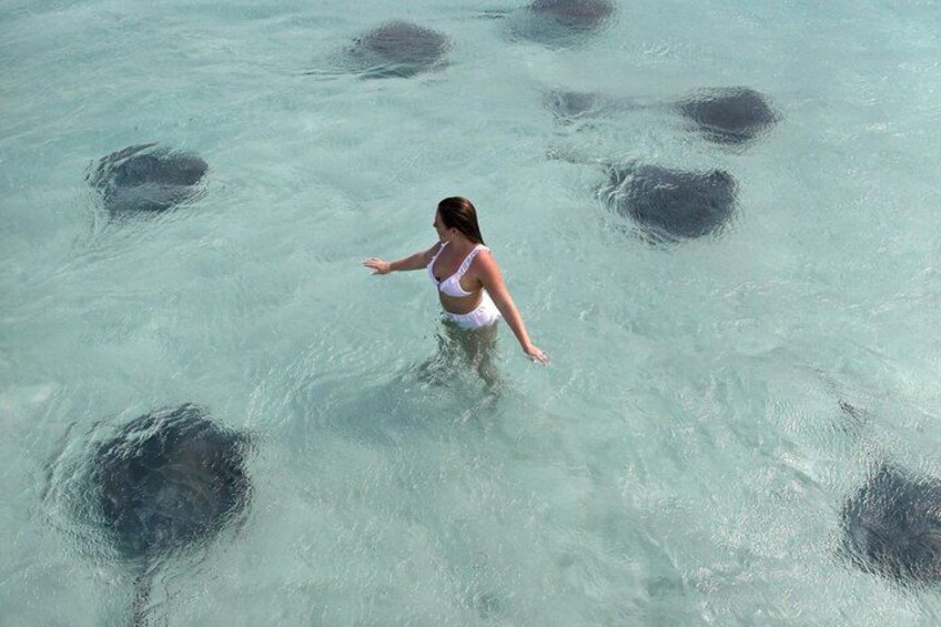 Grand Cayman Stingray City, Barrier Reef & Coral Gardens Snorkel 3