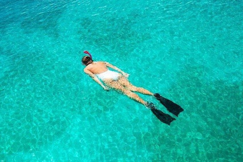 Grand Cayman Stingray City, Barrier Reef & Coral Gardens Snorkel 2