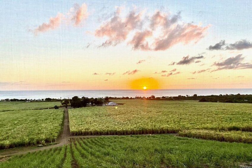 Come west to Frederiksted and tour, stroll, and taste the difference... and stay for one of our amazing sunsets. 3