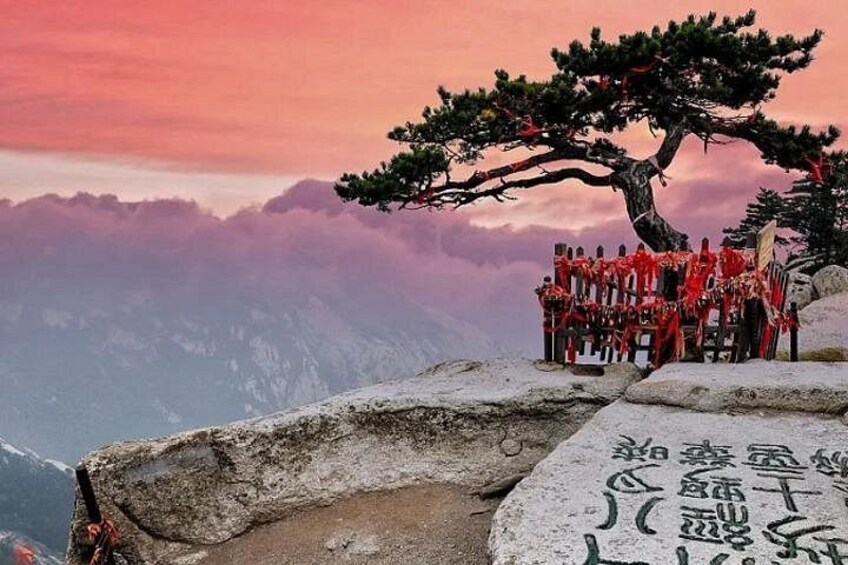 Un sommet de montagne avec un grand arbre et une pierre portant des caractères chinois. 4