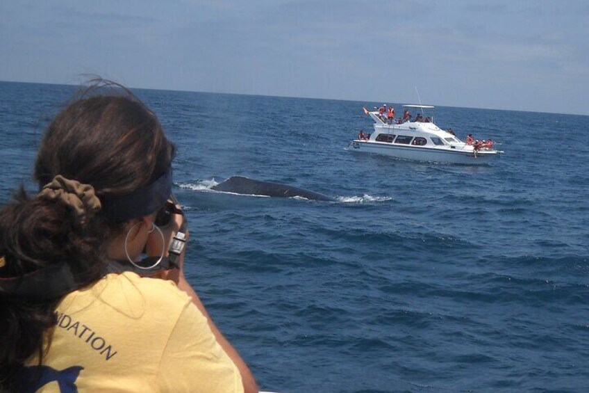 A whale breaching near a boat with people on it. 5