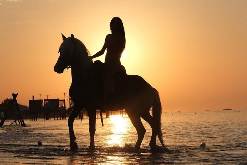 Silhuet af en person, der rider på en hest ved stranden i solnedgang. 2
