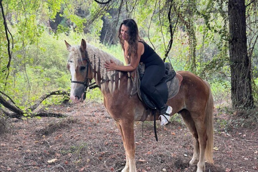 Una persona cavalca un cavallo in una zona boschiva. 5