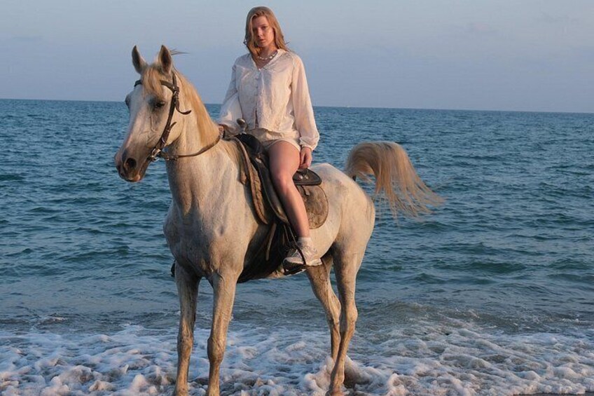 Una persona cavalca un cavallo su una spiaggia, con il mare sullo sfondo. 2