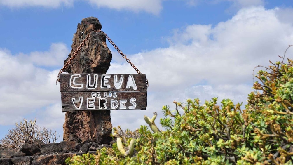 Picture 5 for Activity North Lanzarote: The Work of César Manrique 2
