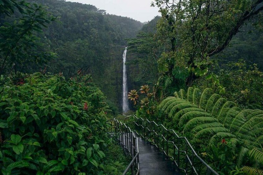Une cascade, une végétation luxuriante et un sentier. 1