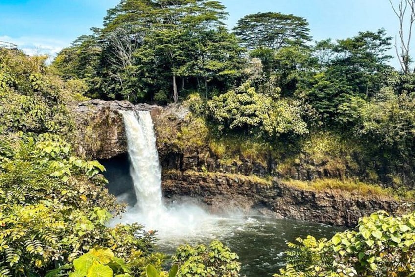 Una cascada rodeada de exuberante vegetación. 3