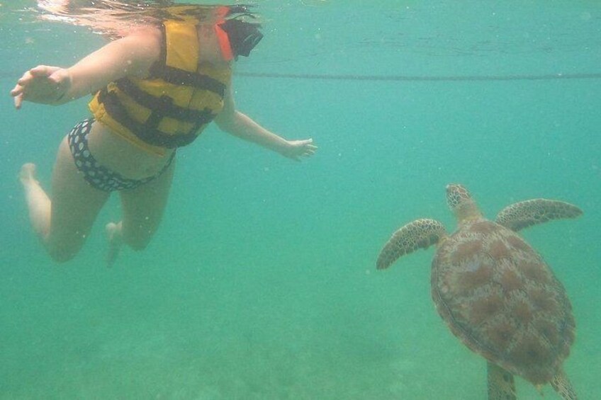 A person snorkeling underwater with a sea turtle. 1