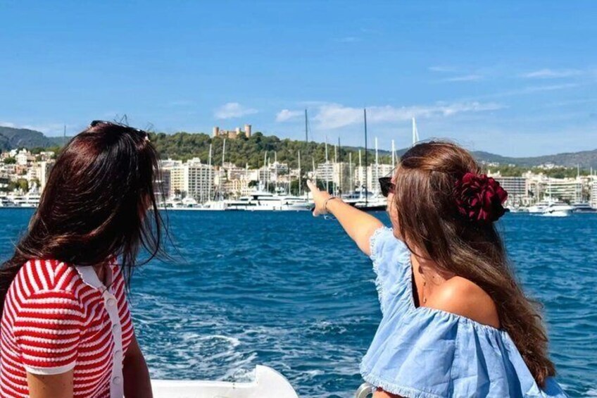 Palma city cruise with iconic views 3