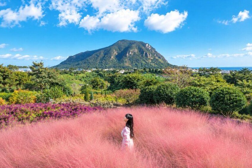 A person in a white dress standing in a field of pink flowers with a mountain in the background. 1