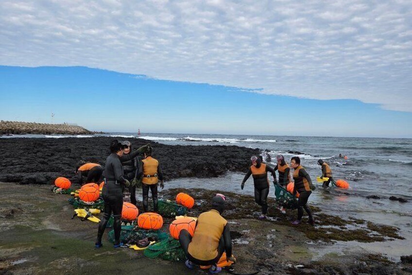 Jeju Private Taxi Tour with English Speaking Guide & Driver 3