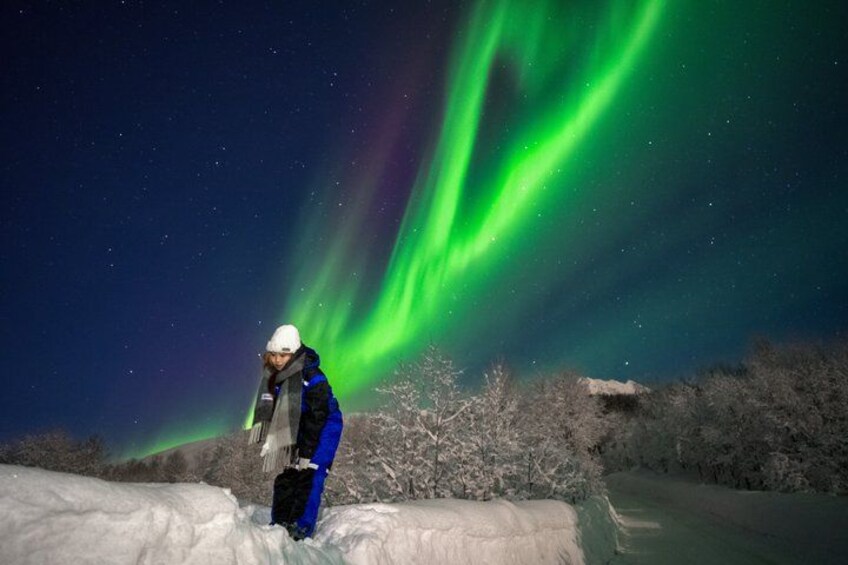 A person standing on snow-covered ground with a river in the background, under a night sky with green aurora borealis. 1
