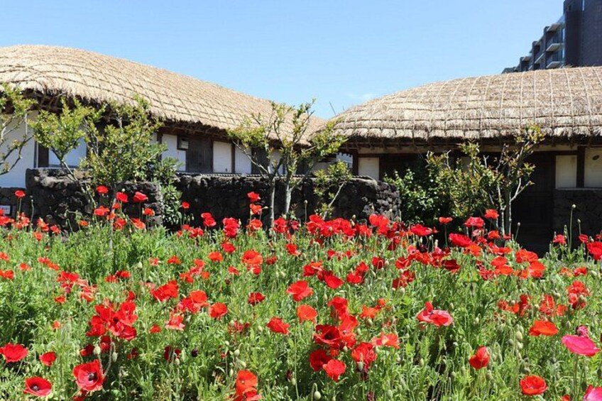 Casas tradicionales con techo de paja, un campo de amapolas rojas y un cielo azul despejado. 2