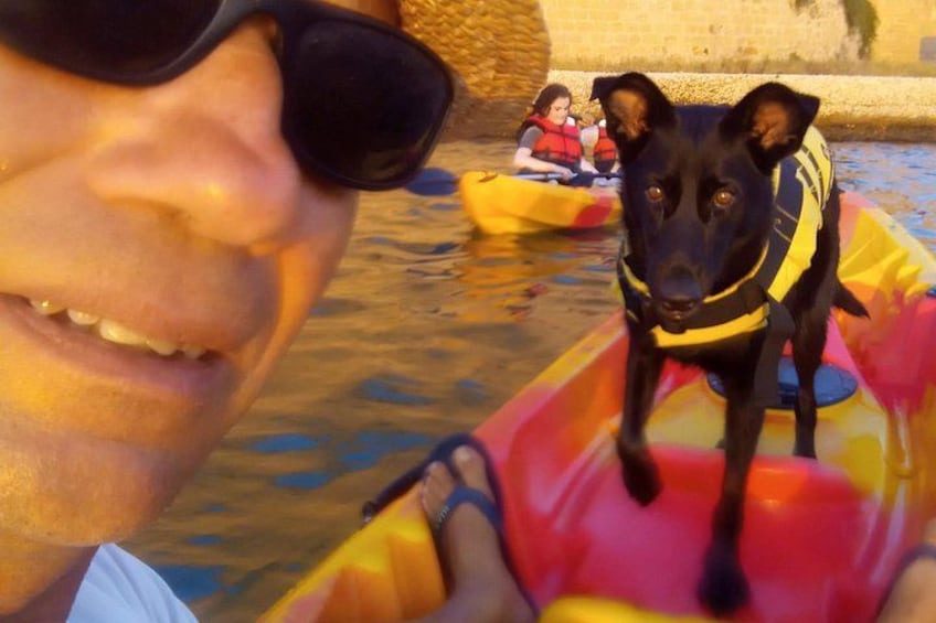 A person in a kayak with a dog wearing a life jacket, another kayak with people in the background, and a body of water. 3