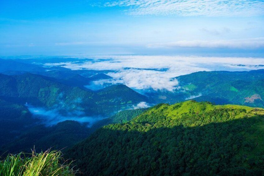 Solo traveller Kerala 6 Day Tour Munnar Thekkady Alleppey Kovalam 5