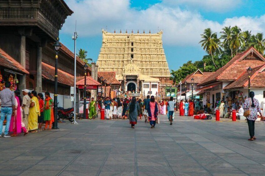 Solo traveller Kerala 6 Day Tour Munnar Thekkady Alleppey Kovalam 4