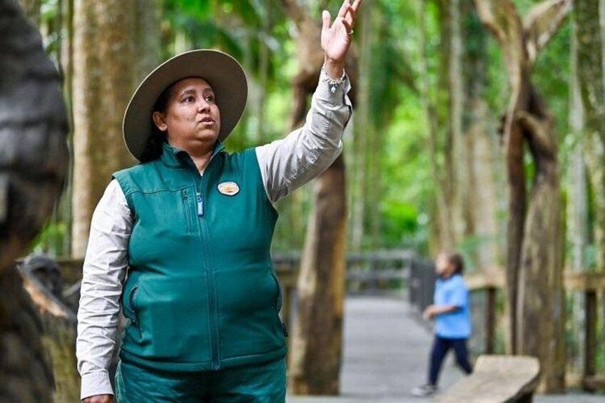 A person in a green vest and hat gesturing, with a forested background and a pathway. 4