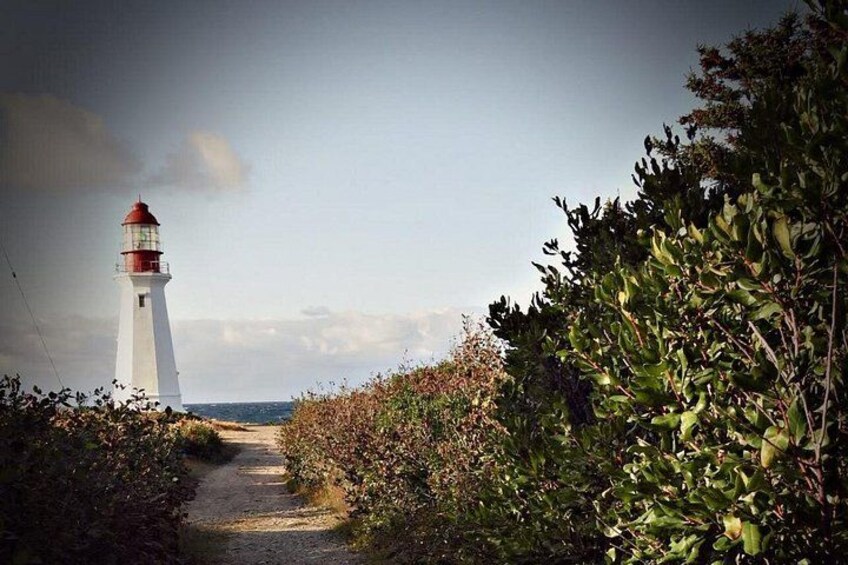City and Coastal Highlights Museum and Lighthouse Stops Tour 2