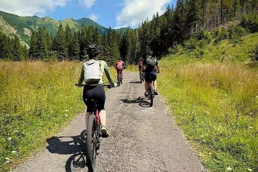 Cycling Bear Watching Tour in High Tatras from Podbanske Slovakia 2