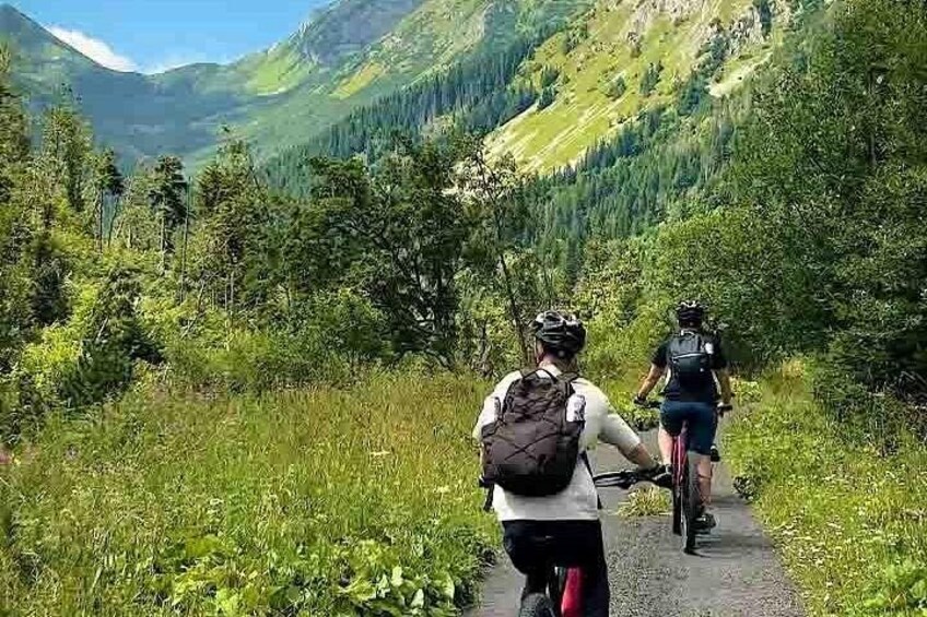 Cycling Bear Watching Tour in High Tatras from Podbanske Slovakia 5