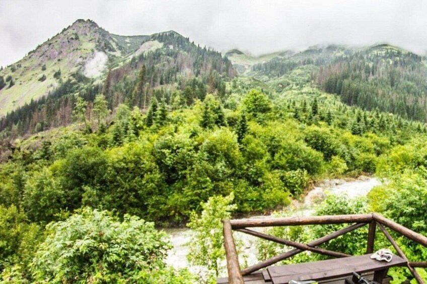 Cycling Bear Watching Tour in High Tatras from Podbanske Slovakia 4
