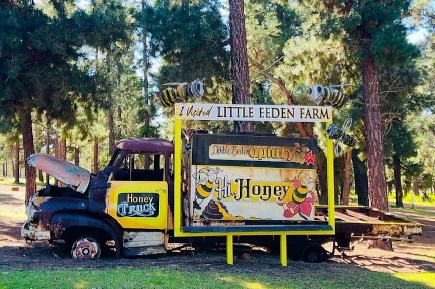 A vintage yellow truck with honey-themed decorations and signage, parked in a wooded area. 3