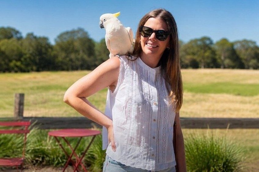 Historic New Norcia, Nature & Local Flavours Day Tour 3