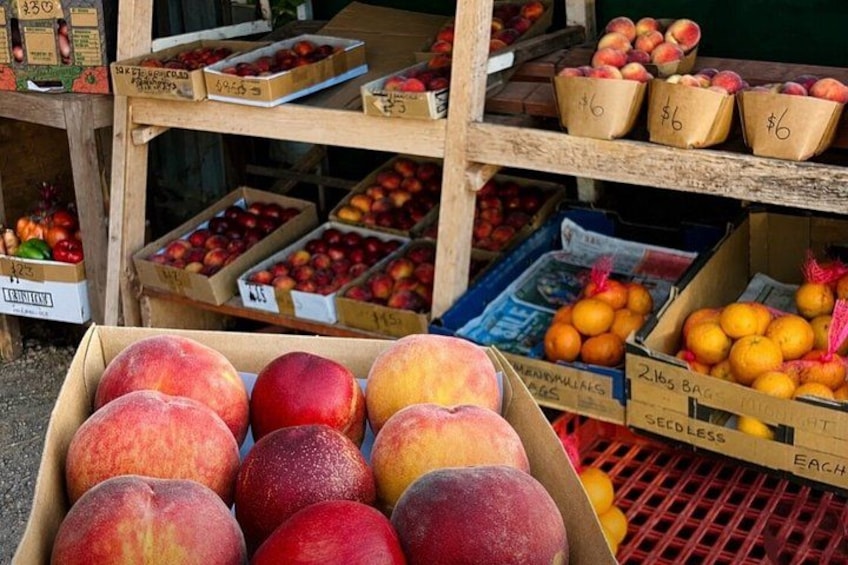 Historic New Norcia, Nature & Local Flavours Day Tour 4