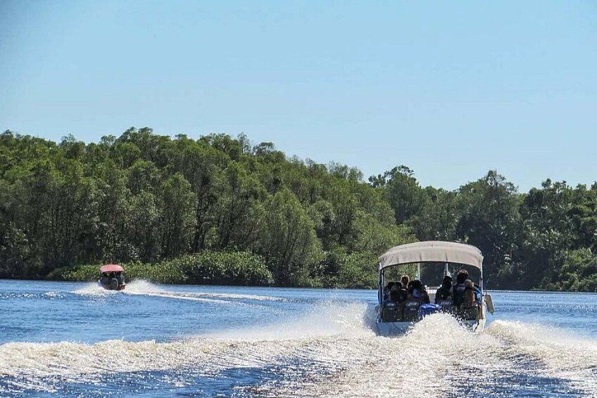 Speedboat Tour in Rio Preguicas with Transport 2