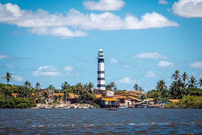 Speedboat Tour in Rio Preguicas with Transport 1