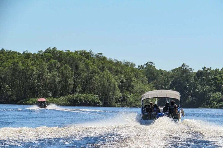 Dos barcos en un río, con un bosque denso a orillas. 2