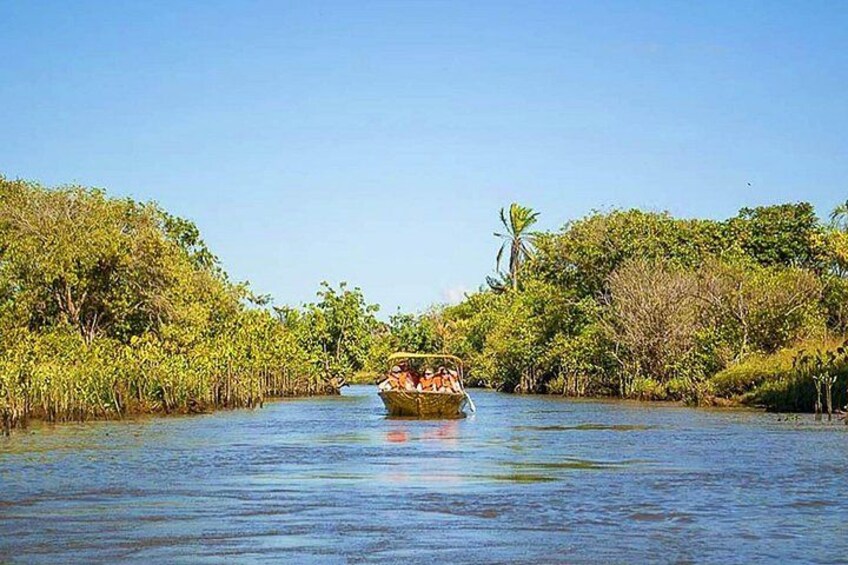 Speedboat Tour in Rio Preguicas with Transport 4